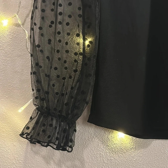Tie Neck Mesh Sleeve Polka Dot Long Sleeve Top - Picture 2 of 4